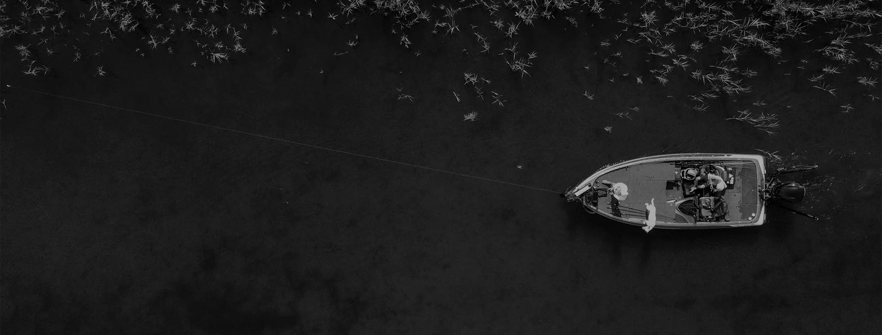 Engineered Performance For Every Cast
